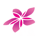 Air Rarotonga