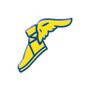 Goodyear Tire and Rubber Company