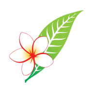老撾航空