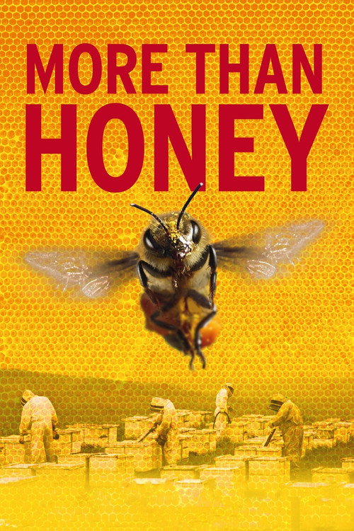 More than Honey